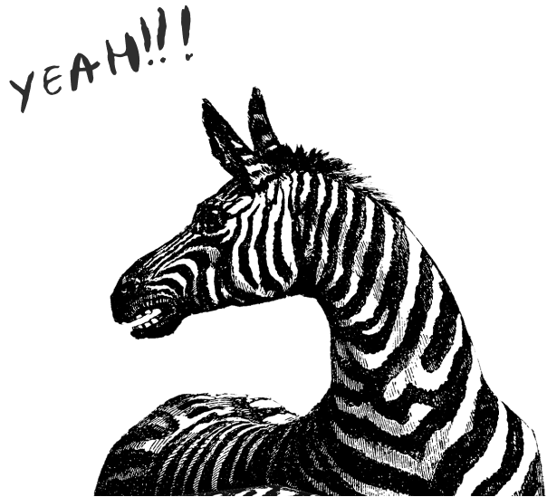 Schwarzweiß Bild eines Zebras mit dem Schriftzug "YEAH!!!"